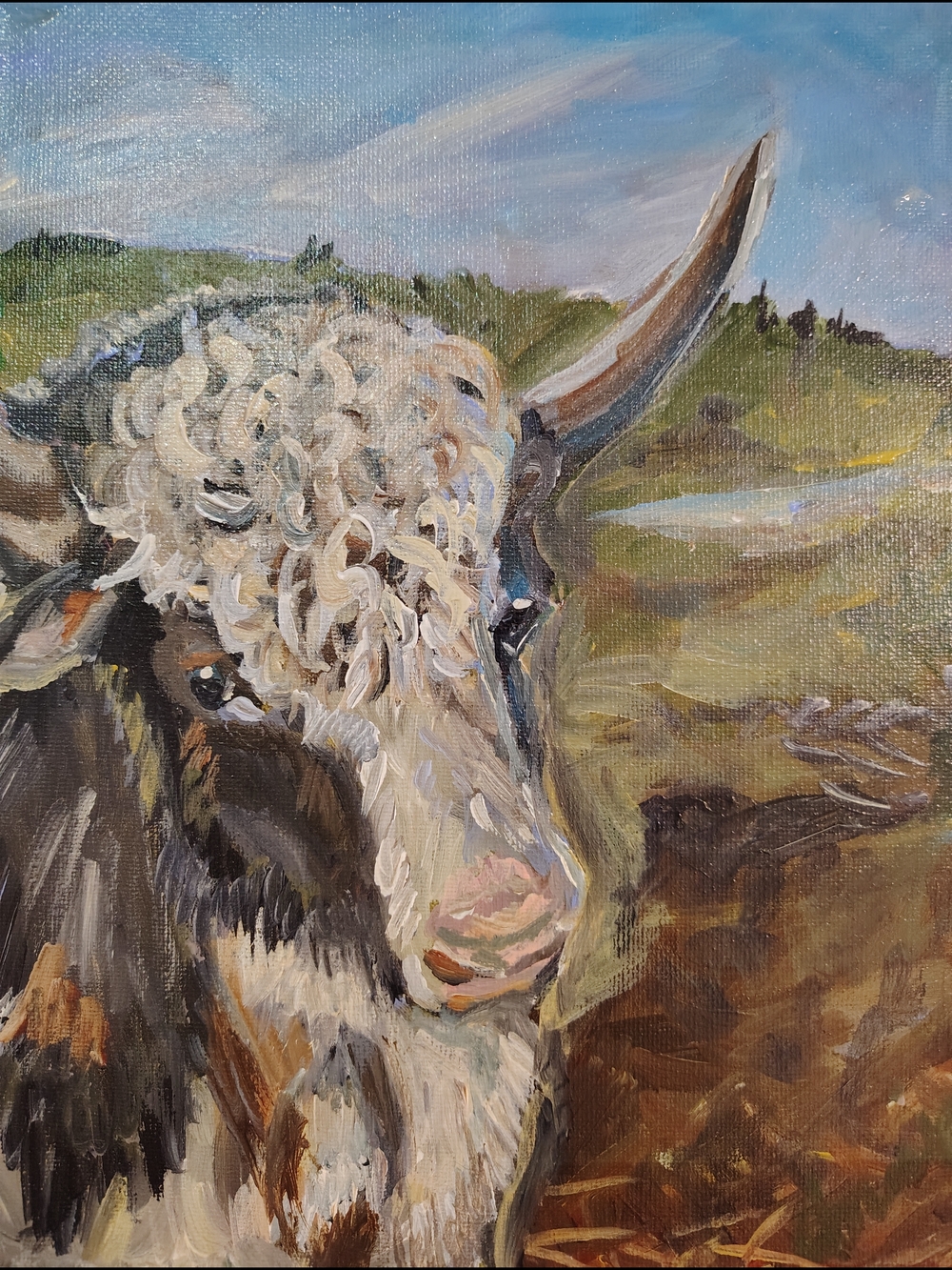 Abstract Highland Cow Canvas Art - Multi-Color Home Wall Decor